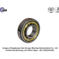 Precisin Cylindrical Roller Bearing (NU, NJ, NF)